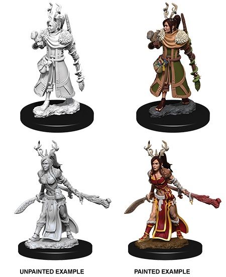 WZK73701 Wizkids/NECA Dungeons & Dragons Nolzur`s Marvelous Unpainted Miniatures: W9 Female Human Druid main product photo