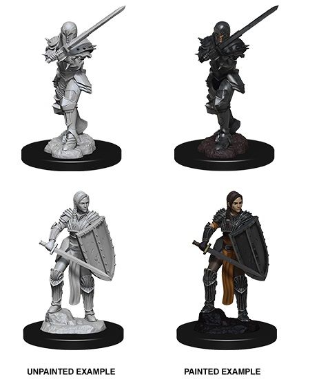 WZK73705 Wizkids/NECA Dungeons & Dragons Nolzur`s Marvelous Unpainted Miniatures: W9 Female Human Fighter main product photo