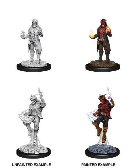 WZK90058 Wizkids/NECA Dungeons & Dragons Nolzur`s Marvelous Unpainted Miniatures: W12 Male Tiefling Sorcerer main product photo
