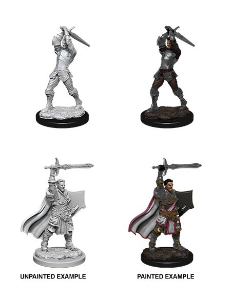 WZK90060 Wizkids/NECA Dungeons & Dragons Nolzur`s Marvelous Unpainted Miniatures: W12 Male Human Paladin main product photo