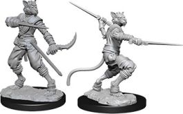 Dungeons & Dragons Nolzur`s Marvelous Miniatures: Male Tabaxi Rogue