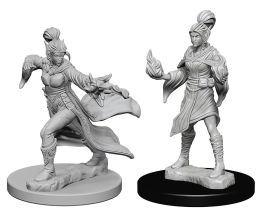 Pathfinder Deep Cuts Unpainted Miniatures: Elf Female Sorcerer