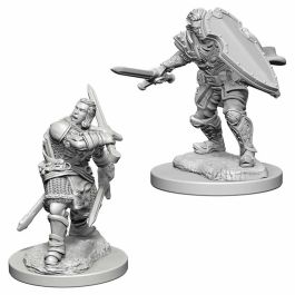 Dungeons & Dragons Nolzur`s Marvelous Unpainted Miniatures: Human Male Paladin