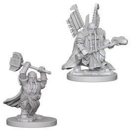 Dungeons & Dragons Nolzur`s Marvelous Unpainted Miniatures: Dwarf Male Paladin
