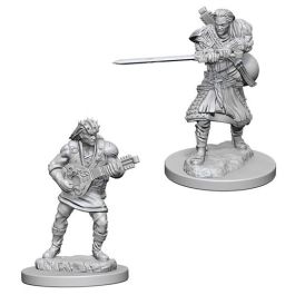 Dungeons & Dragons Nolzur`s Marvelous Unpainted Miniatures: Human Male Bard