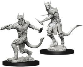 Dungeons & Dragons Nolzur`s Marvelous Unpainted Miniatures: Tiefling Male Rogue