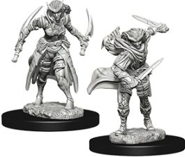 Dungeons & Dragons Nolzur`s Marvelous Unpainted Miniatures: Tiefling Female Rogue