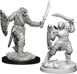 Dungeons & Dragons Nolzur`s Marvelous Unpainted Miniatures: Dragonborn Female Paladin
