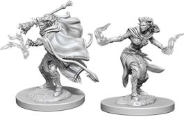 Dungeons & Dragons Nolzur`s Marvelous Unpainted Miniatures: Female Tiefling Warlock