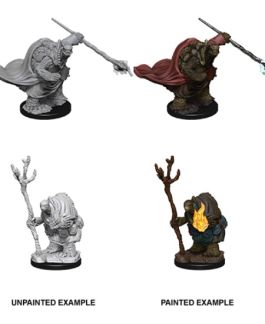 Dungeons & Dragons Nolzur`s Marvelous Unpainted Miniatures: W9 Tortles Adventurers