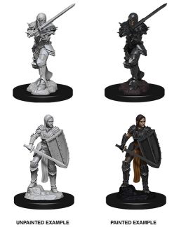 Dungeons & Dragons Nolzur`s Marvelous Unpainted Miniatures: W9 Female Human Fighter
