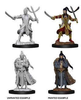 Dungeons & Dragons Nolzur`s Marvelous Unpainted Miniatures: W9 Male Elf Paladin