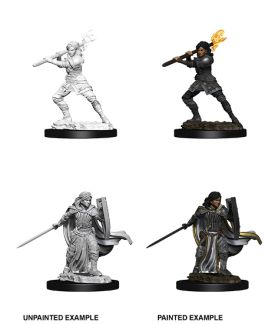 Dungeons & Dragons Nolzur`s Marvelous Unpainted Miniatures: W10 Female Human Paladin