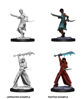 Dungeons & Dragons Nolzur`s Marvelous Unpainted Miniatures: W10 Female Human Rogue