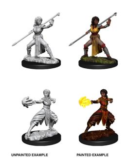 Dungeons & Dragons Nolzur`s Marvelous Unpainted Miniatures: W10 Female Half-Elf Monk