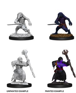 Dungeons & Dragons Nolzur`s Marvelous Unpainted Miniatures: W10 Kenku Adventurers
