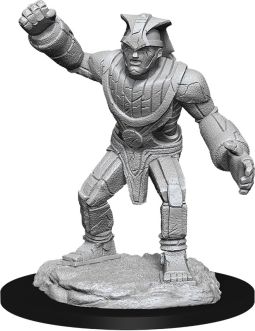 Dungeons & Dragons Nolzur`s Marvelous Unpainted Miniatures: W11 Stone Golem