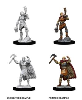 Dungeons & Dragons Nolzur`s Marvelous Unpainted Miniatures: W12 Male Half-Elf Bard