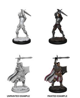 Dungeons & Dragons Nolzur`s Marvelous Unpainted Miniatures: W12 Male Human Paladin