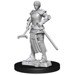 WizKids Deep Cuts Unpainted Miniatures: W12 Towns People - Castle 2