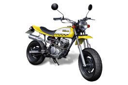 Aoshima 1/12 Honda AC16 Ape50 '06 Custom Takegawa