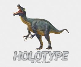 Holotype: Mesozoic Europe