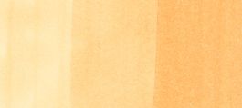 Copic Ciao Marker Earths, Barley Beige E11 (4511338010709) (3 Pack)