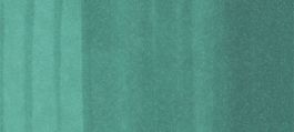 Copic Ciao Marker Greens, Forest Green G17 (4511338007921) (3 Pack)