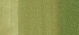 Copic Sketch Marker Greens, Willow G24 (4511338007143) (3 Pack)