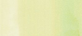 Copic Sketch Marker Greens, Dim Green G40 (4511338007150) (3 Pack)