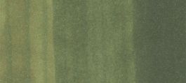 Copic Sketch Marker Greens, Olive G99 (4511338003190) (3 Pack)
