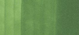 Copic Sketch Marker Yellow Greens, Moss YG67 (4511338003602) (3 Pack)