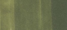 Copic Sketch Marker Yellow Greens, Marine Green YG99 (4511338007419) (3 Pack)