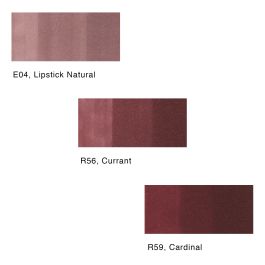 Copic Sketch Marker 3Pc Color Fusion Set #3