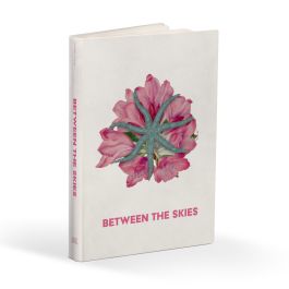 Between the Skies Role Playing Game: Collected Edition Hardcover