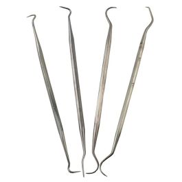 Tool: Dental Pick: 4pc assortment