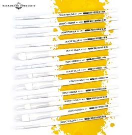 Citadel Brush: Synthetic Base Brush (Medium) - Pack of 3