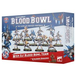 202-62 Blood Bowl: High Elf Blood Bowl Team