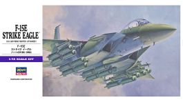 Hasegawa F-15E Strike Eagle E10