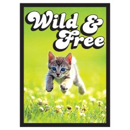 Deck Protector: Matte Kitten Black Border (50)