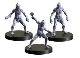 The Witcher RPG: Necrophages 1 - Drowner 1