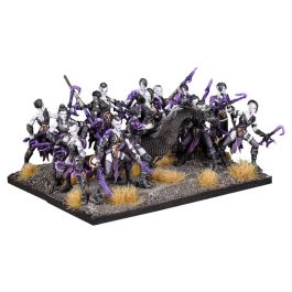 Kings of War: Twilight Kin - Corsairs Regiment/Fleetwardens