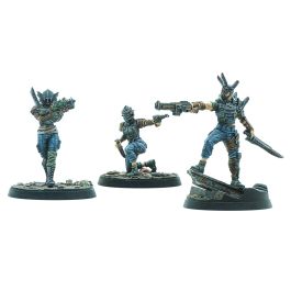 Fallout: WW: Raiders: Disciples Leaders