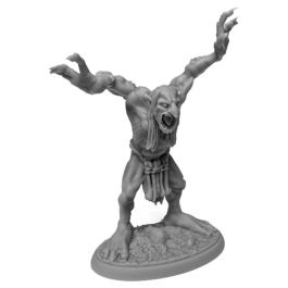 Dungeons & Dragons: Moor Troll