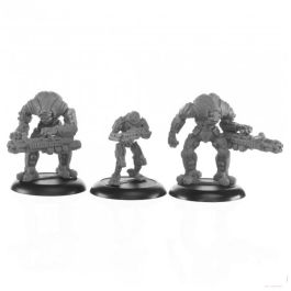 Legends: Viceroy Enforcers (3)