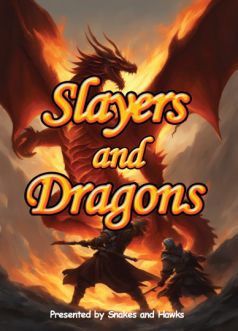 Slayers And Dragons