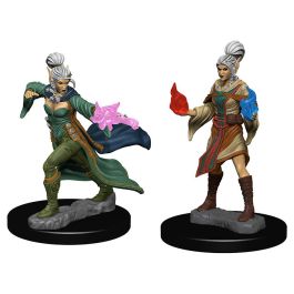 Pathfinder: Deep Cuts Minis: Elf Female Sorcerer W1 (Unpainted)
