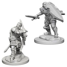 Dungeons & Dragons: Nolzur's Marvelous Minis: Human Male Paladin W3 (Unpainted)