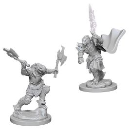 Dungeons & Dragons: Nolzur's Marvelous Minis: Dragonborn Female Fighter W4 (Unpainted)