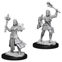 Dungeons & Dragons: Nolzur's Marvelous Minis: Female Human Cleric W8 (Unpainted)
